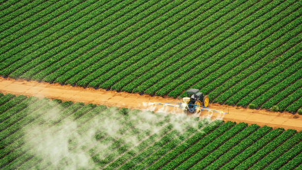 Best Insect Control  in Glide, OR