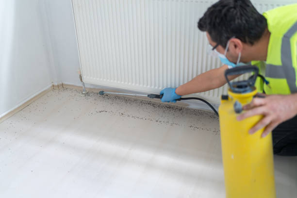 Best Pest Control Near Me  in Glide, OR